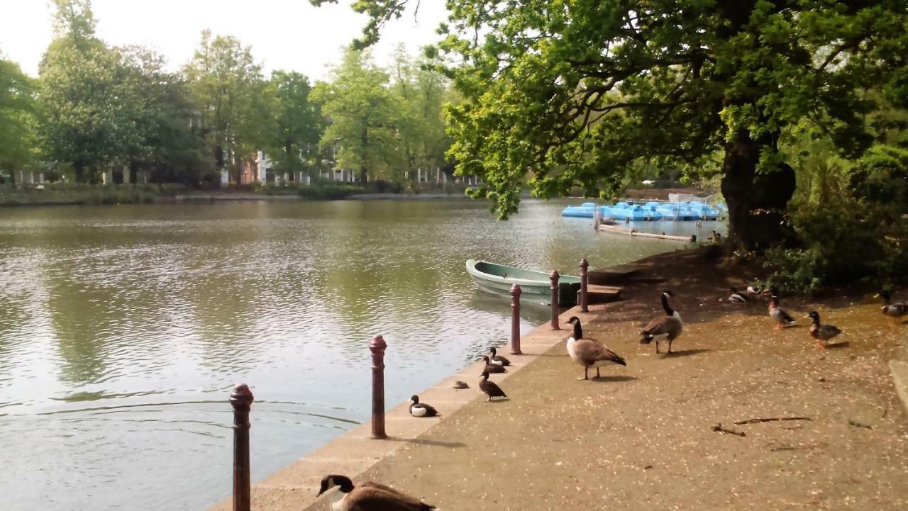 Crystal Palace B&B London Bagian luar foto